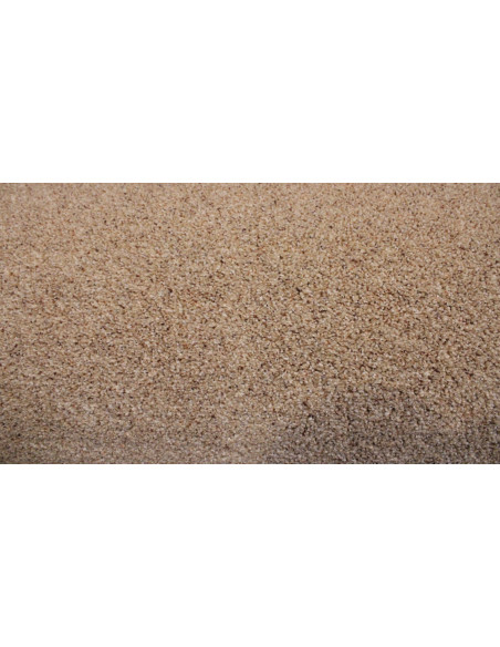 Tepison Twist